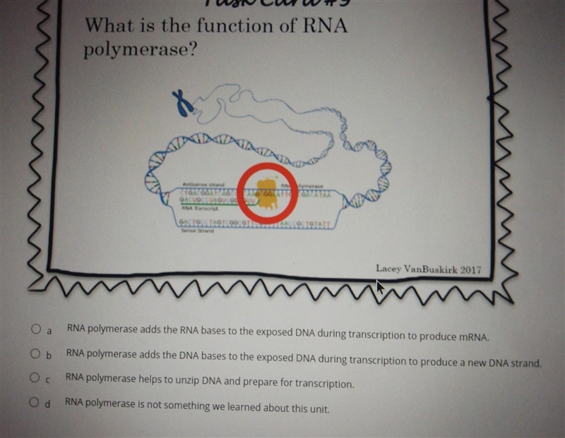 What is the function of RNA polymerase​-example-1