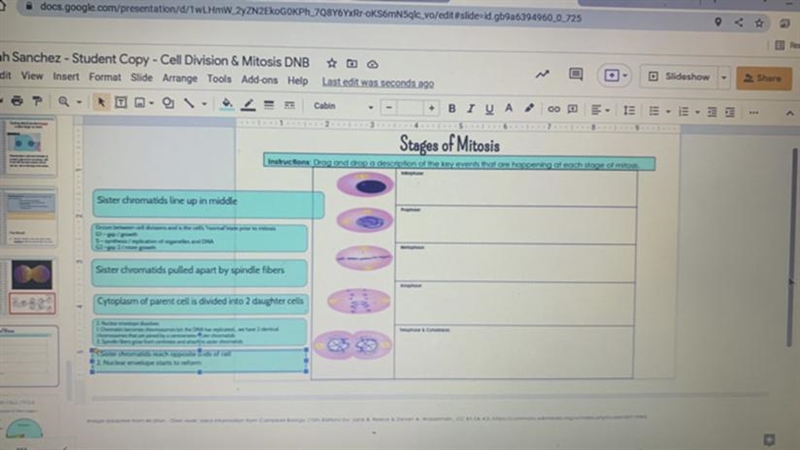 Stages of mitosis?? 20 points!!! Not sure what goes with what it’s like a matching-example-1