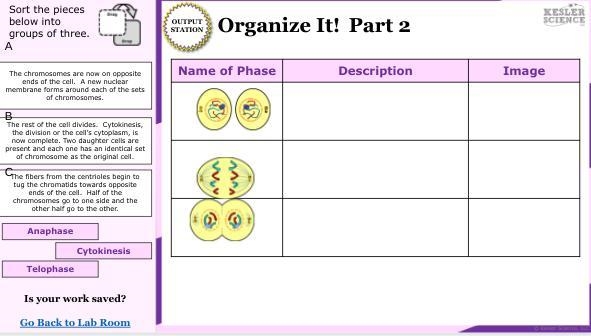 If you do this for meee you get 100 points (its for science and im confused)-example-1