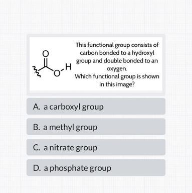 I need help with biology-example-1