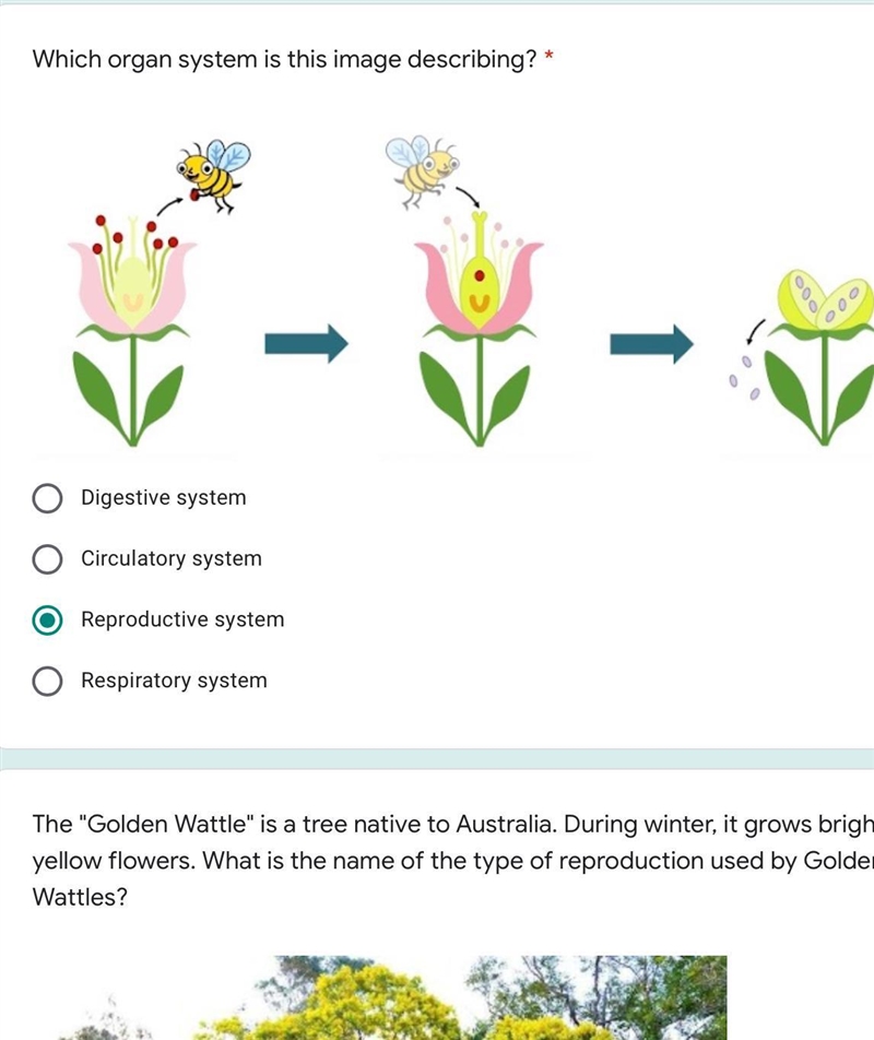 * Which organ system is this image describing?-example-1