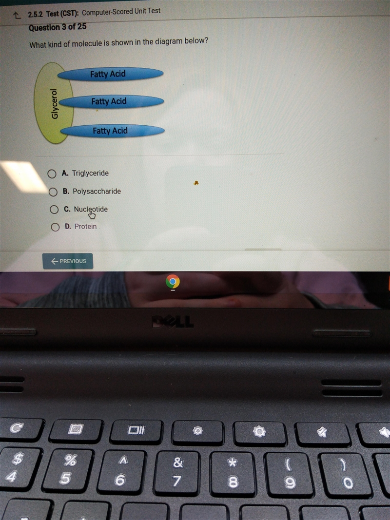 What kind of molecule is shown in the diagram-example-1