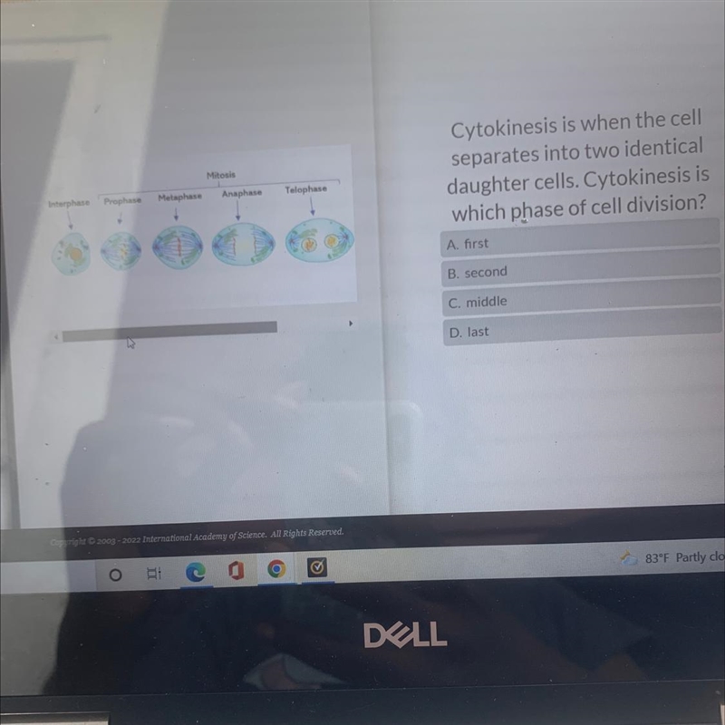 Cytokinesis is when the cell separates into two identical daughter cells. Cytokinesis-example-1