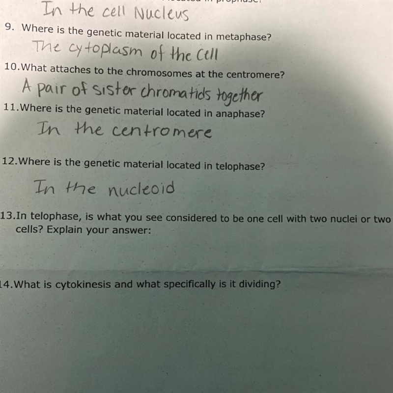 PLEASE HELP!!! In telophase, is what you see considered to be one cell with two nuclei-example-1