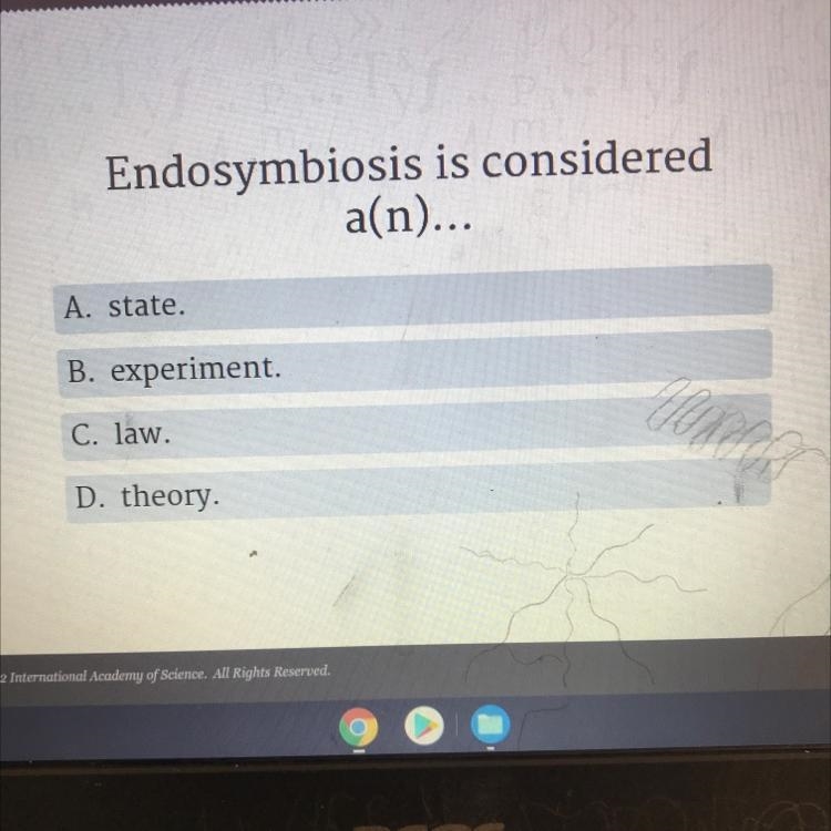 What two organelles are included in the endosymbiosis theory? A. mitochondria and-example-1