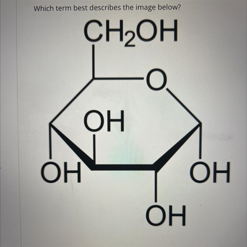 Which term best describes the image below? A: chlorophyll B: glucose C: ADP D: ATP-example-1