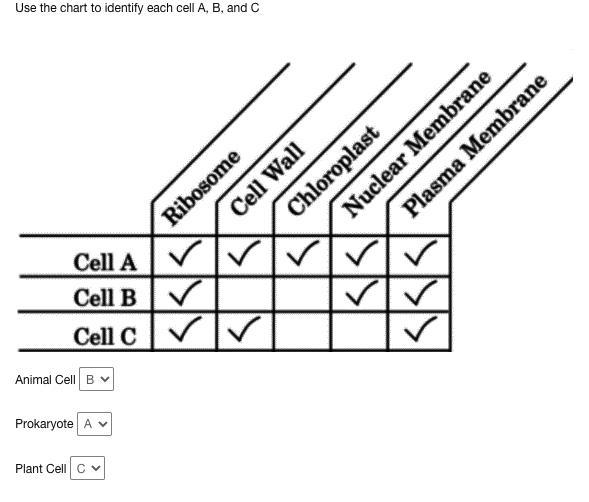 HI! PLEASE HELP (it will mean a lot)-example-1