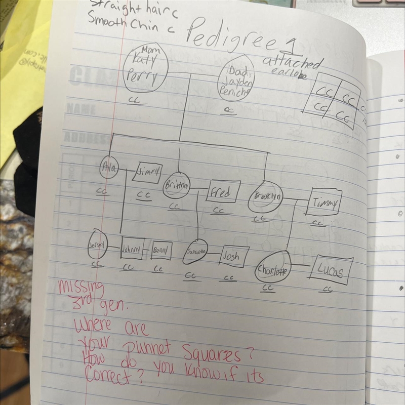 Hello I need help making the pedigree chart and also the punnet squares we can make-example-1