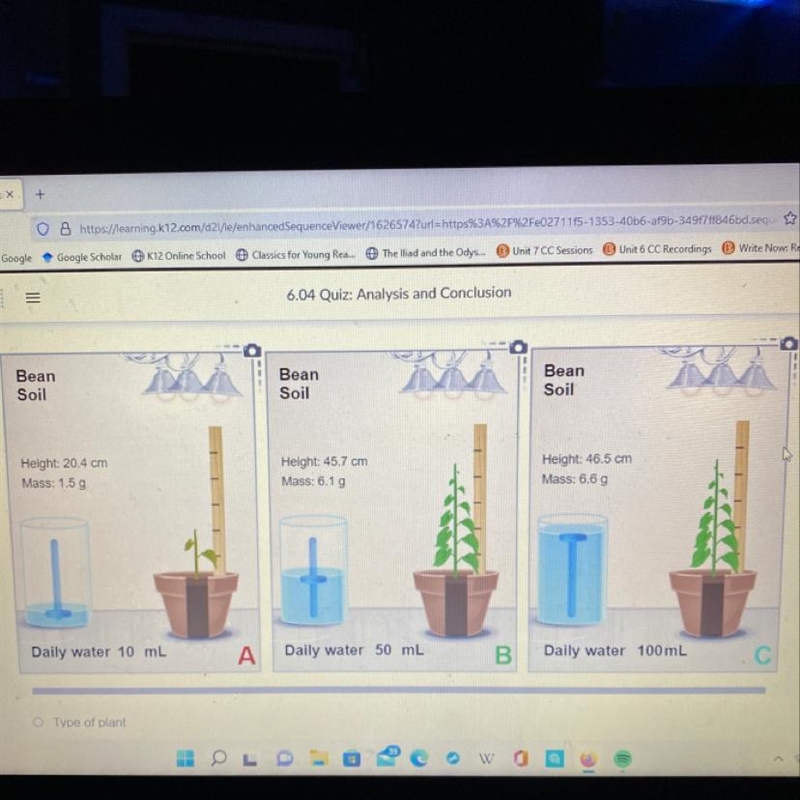 Based on the experiment below, what was the independent variable? A-type of plant-example-1