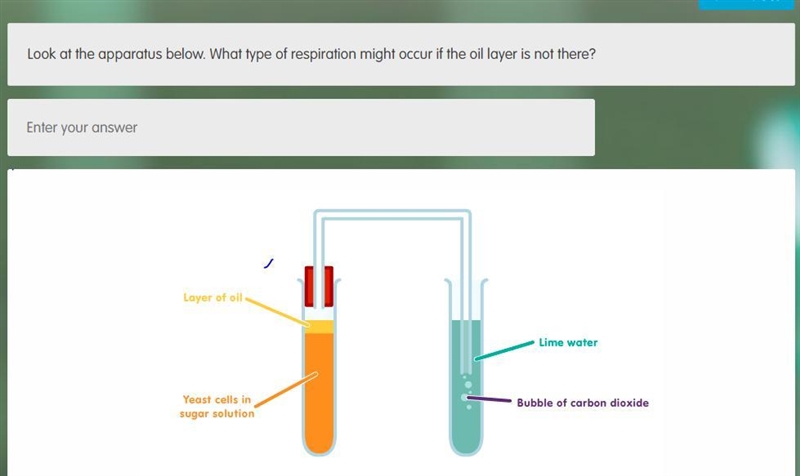 Hi, could anyone help me get the answer, Thanks-example-1