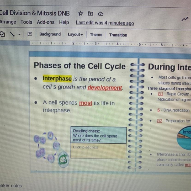 10 points!!! Where does the cell spend most of its time?-example-1