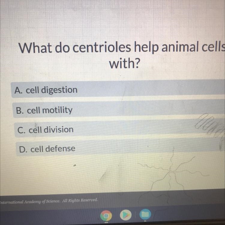 What do centrioles help animal cells with? A. cell digestion B. cell motility C. cell-example-1