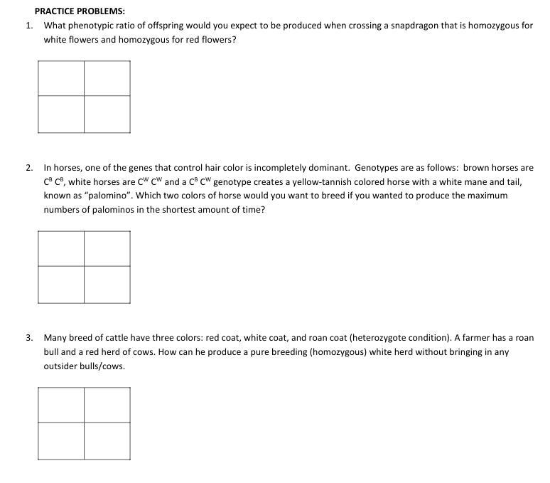 Fill in the Punnet Square-example-1