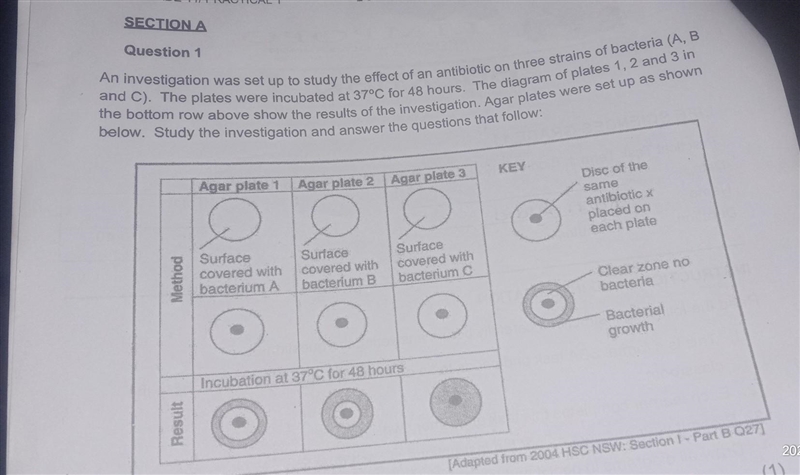 Question 1 An investigation was set up to study the effect of an antibiotic on three-example-1