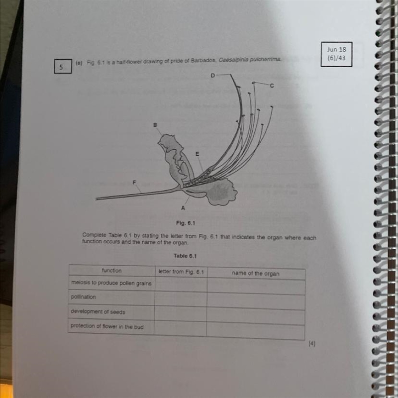 Can someone help me with this question-example-1