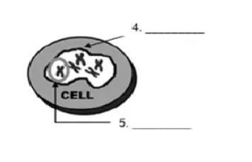 CAN SOMEONE HELP ME WITH THIS​-example-1