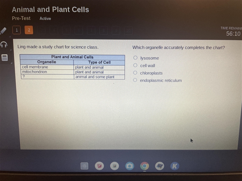 Which organelle accurately completed the chart-example-1