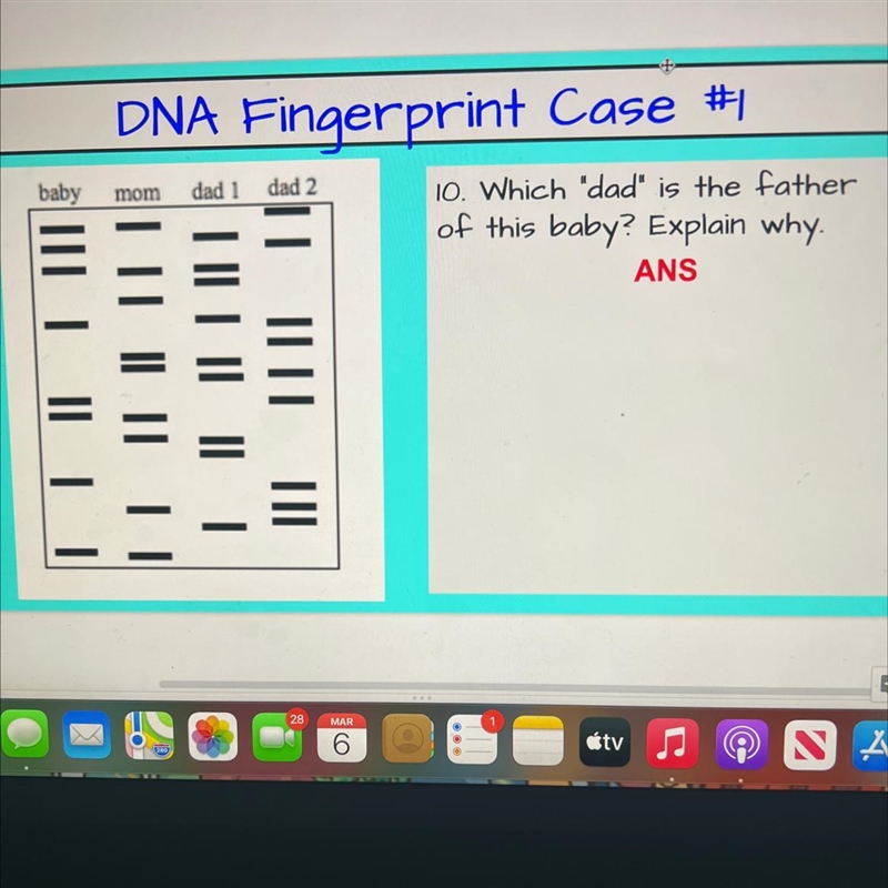 Will give brainless if you answer all. Which dad is the father of the baby? Explain-example-1