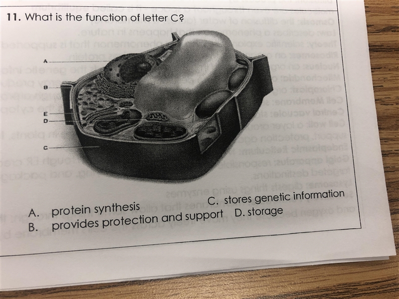 Help please BIOLOGY!!-example-1