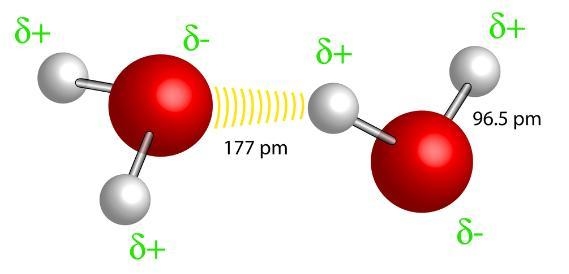 Analyze the diagram below. What do the yellow lines stand for? A ionic bonds B negative-example-1