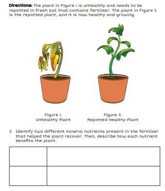 Please help ASAP. This is Science-example-1