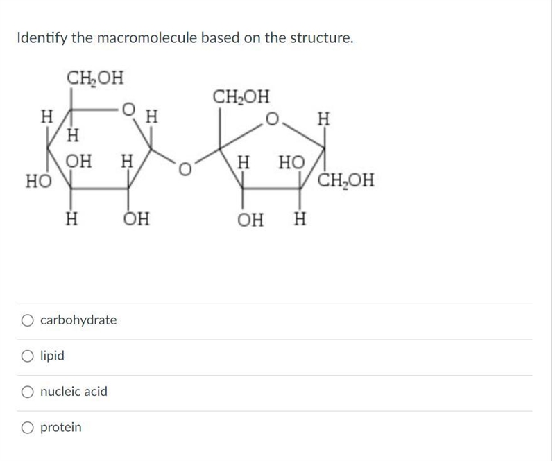 Identify the macromolecule based on the structure.-example-1