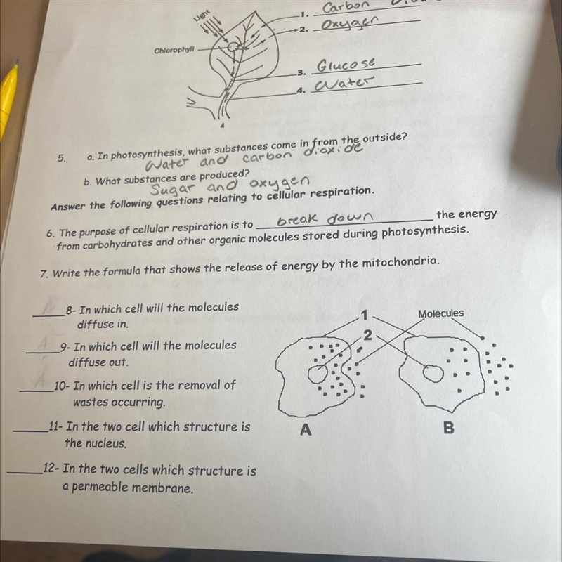 PLEASE HELP WILL GIVE 50 POINTS I NEED HELP ON QUESTIONS 8-12 PLEASE HELP-example-1