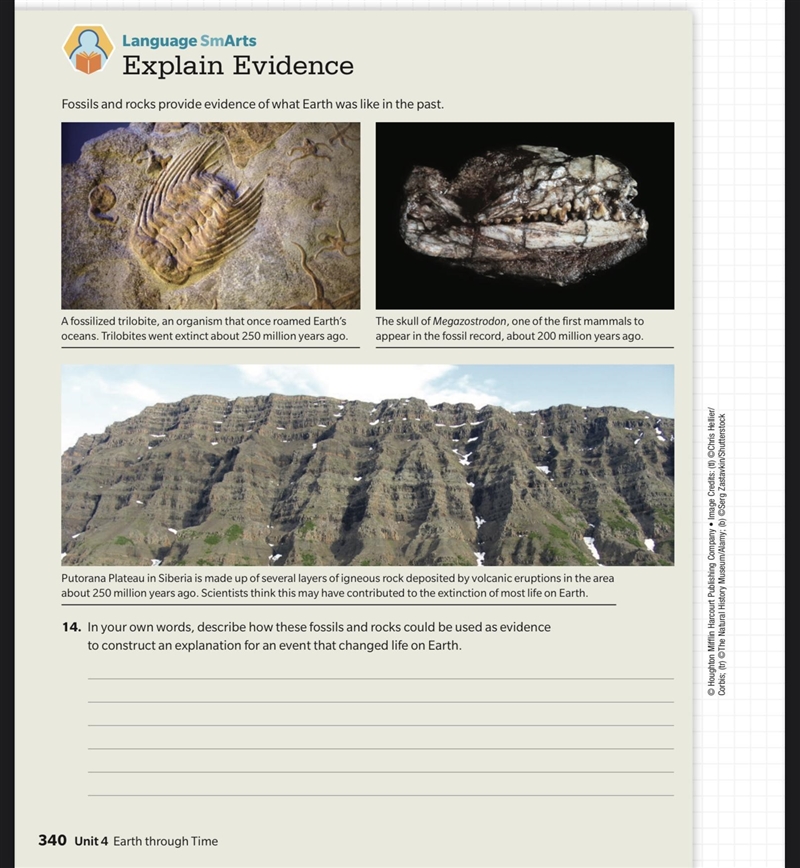 In your own words, describe how these fossils and rocks could be used as evidence-example-1