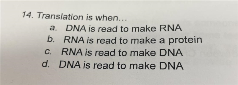 14. Translation is when... a. DNA is read to make RNA b. RNA is read to make a protein-example-1