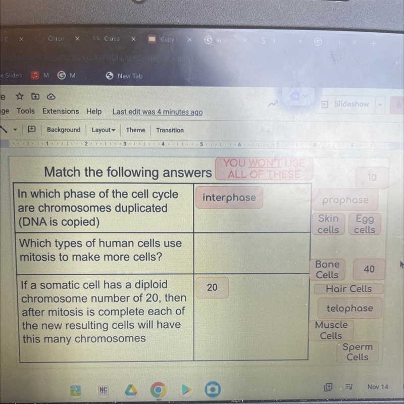 Match the following answers In which phase of the cell cycle interphase are chromosomes-example-1