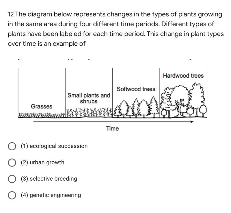 The diagram below represents changes in the types of plants growing in the same area-example-1