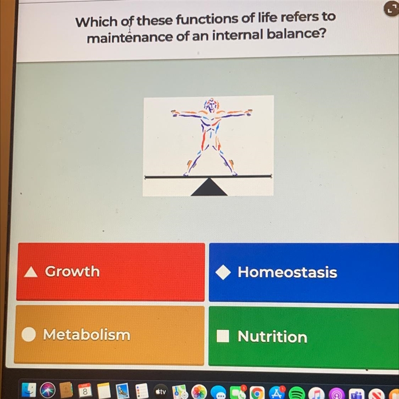 Which of these functions of life refers to maintenance of an internal balance?-example-1