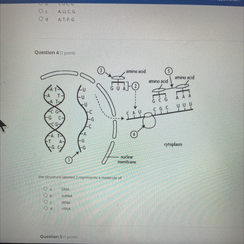 The structurelabeled two represents in molecule of ?-example-1