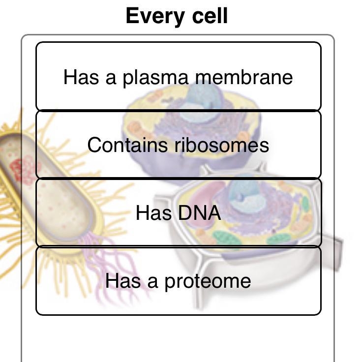 Are all cells composed of those things?-example-1