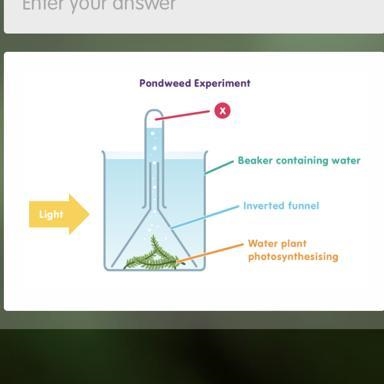 The apparatus shown in the diagram can be used to measure the rate of photosynthesis-example-1