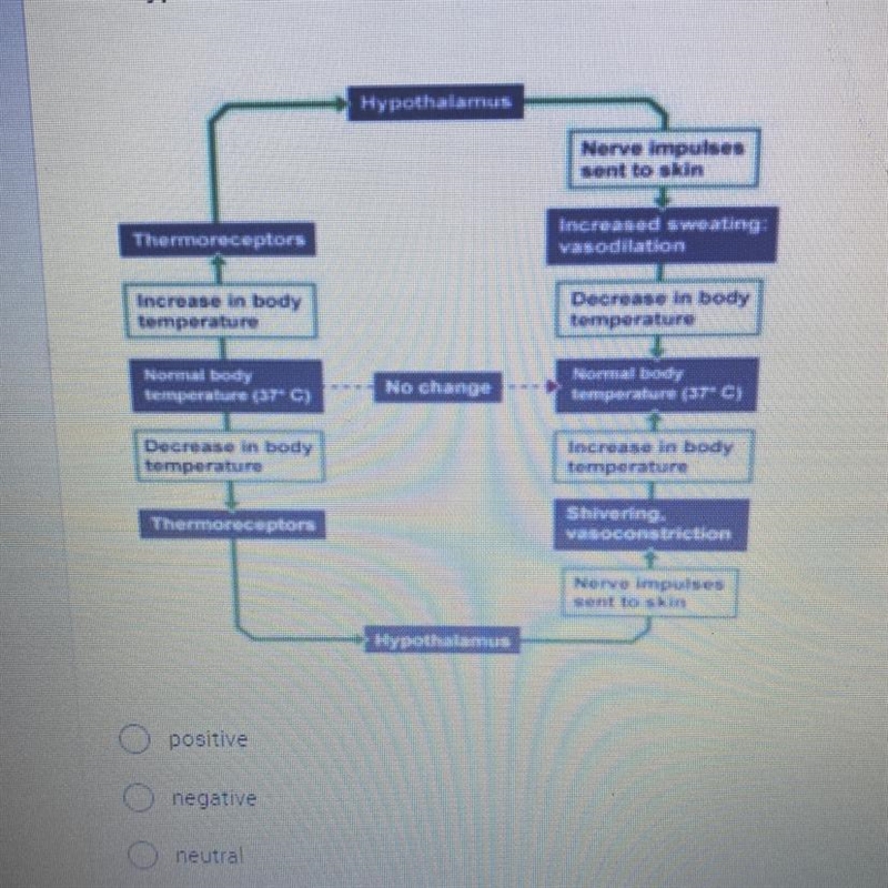 What type of feedback loop is shown?-example-1