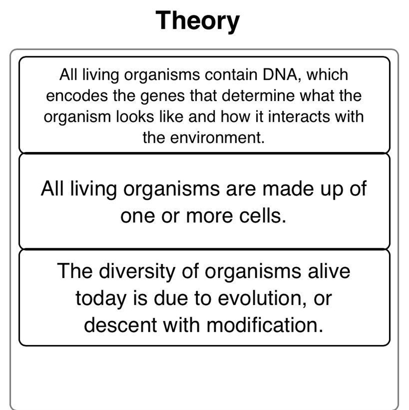 Are those considered theories?-example-1