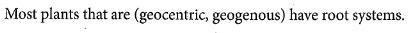 Which one do I underline?-example-1