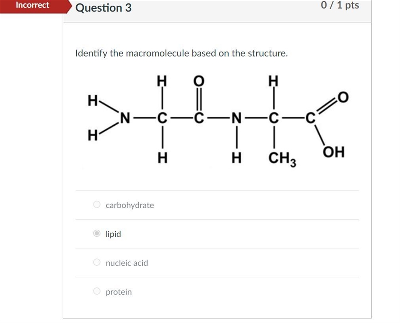 Does anyone know what this structure is? I got it incorrect but it doesn't say which-example-1