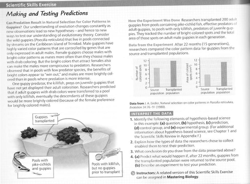 1. Identify the following elements of hypothesis-based science in this example: (a-example-1