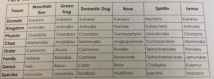 Which of the organisms listed above are most closely related to humans? how can you-example-1