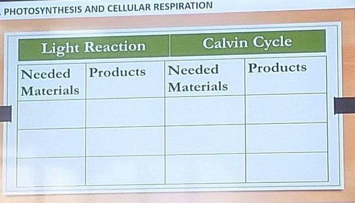 Photosynthesis and cellularrespiration-example-1