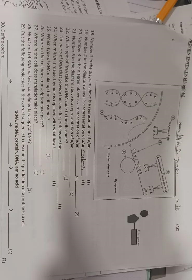 Number 1 in the diagram is a representation of a/an _____.-example-1