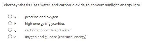 Help!! Biology A 30 Ptss!!-example-1