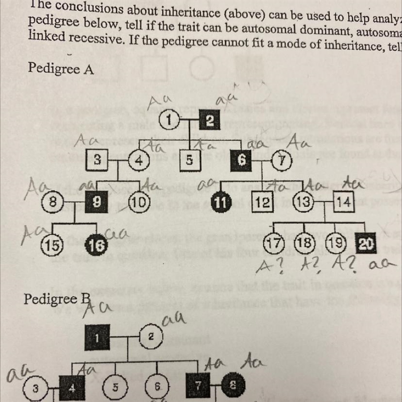 10) Can pedigree A be autosomal dominant?-example-1