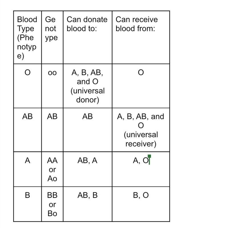 Human blood types are determined by genes that fallow the codominance pattern on inheritance-example-1