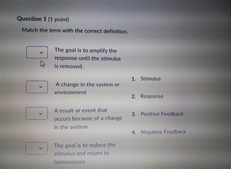 HELP ME PLEASE match the term with correct definition ​-example-1