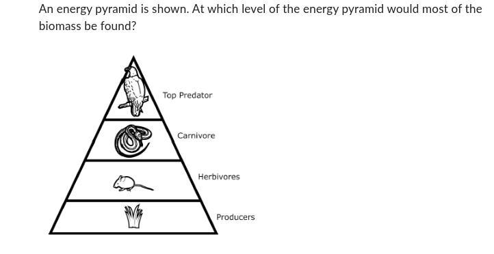 Answers 1. Top Predator 2. Carnivore 3. Herbivores 4. Producers-example-1