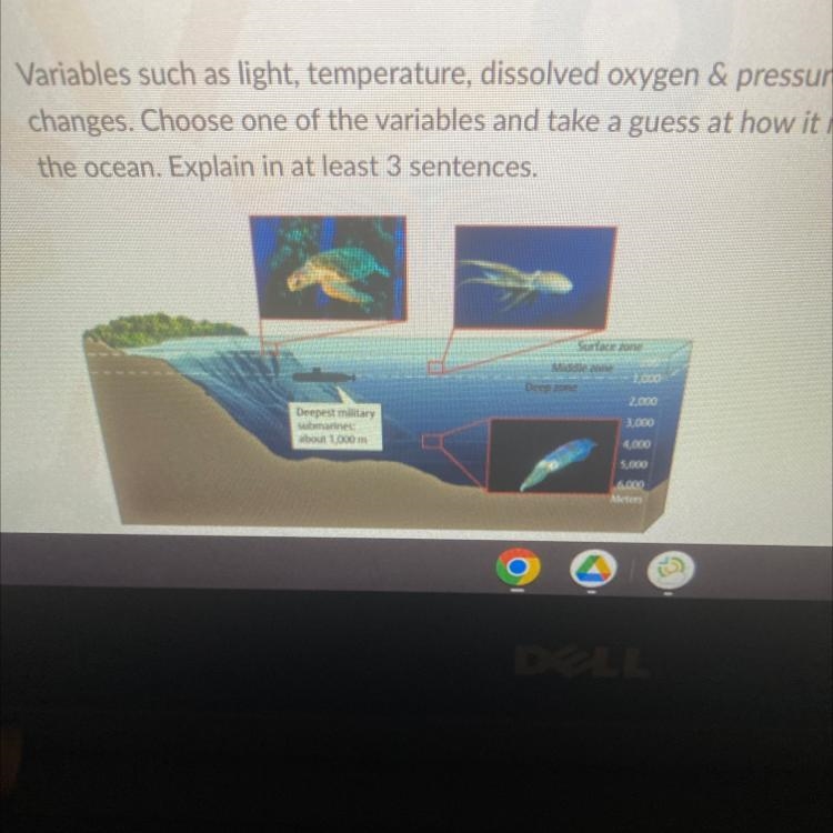 Variables such as light, temperature, dissolved oxygen & pressure change as depth-example-1