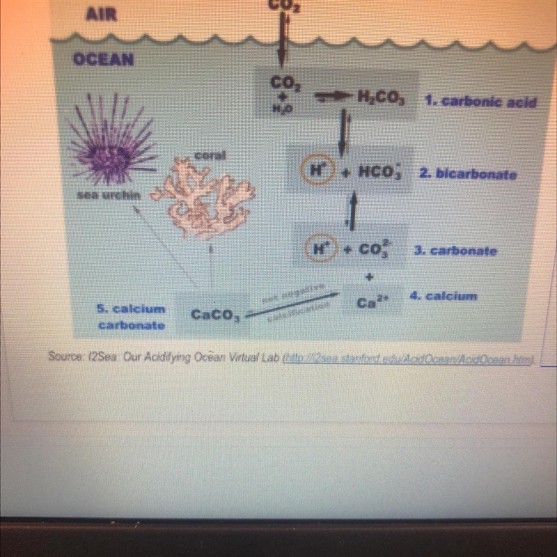 Describe in four (4) complete sentences different images that analyze related to Ocean-example-1